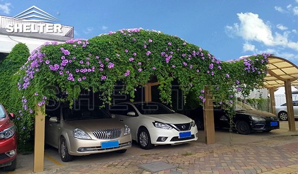 Caramanchao para Carros