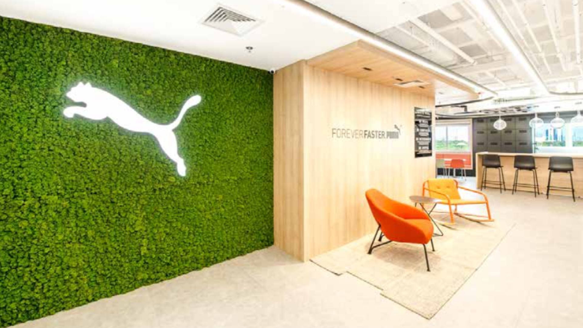 Painel Vertical de Musgo